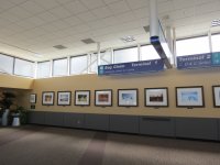 IMG_5958
