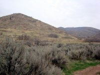 DSC05209