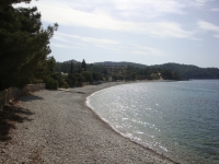 DSC01056