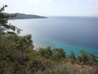 DSC01067