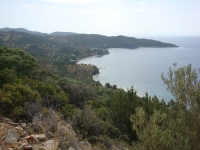 DSC01078