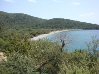 DSC01105