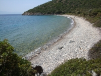 DSC01121