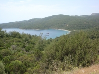 DSC01139
