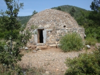 DSC01145