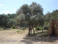 DSC01153