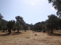 DSC01162