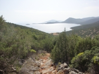 DSC01169