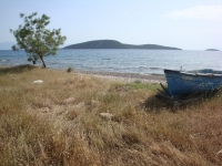 DSC01174