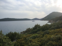 DSC01186