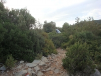 DSC01191