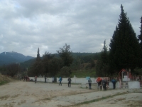 DSC05229