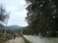 DSC05232