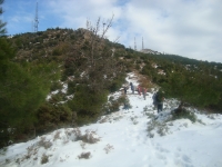 DSC05248