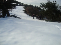 DSC05285