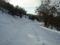 DSC05296