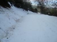 DSC05300