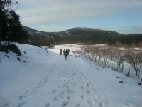 DSC05301