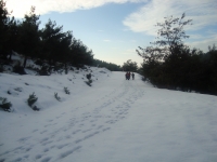 DSC05303