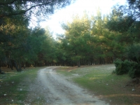 DSC05320
