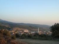 DSC05325
