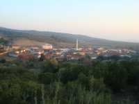 DSC05326