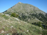 DSC07164