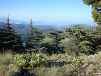 DSC07168