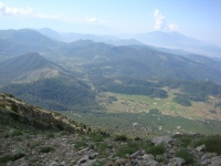 DSC07206