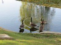 IMG_6610