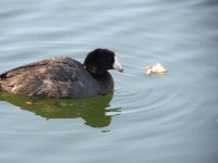 IMG_6648