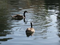 IMG_6672