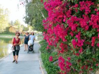 IMG_6677