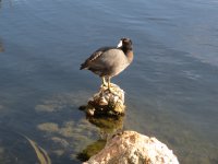 IMG_6702