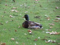 IMG_6728