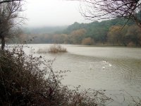 Karagöl