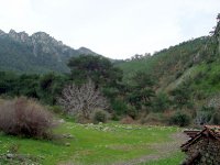 Yamanlar