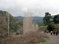 Yamanlar