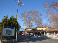 DSC08080