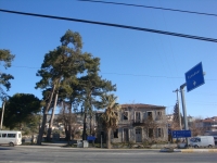 DSC08082