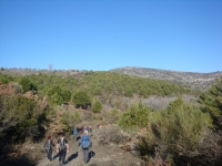 DSC08094