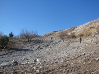 DSC08095