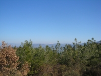 DSC08110