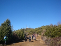 DSC08113