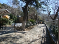 DSC08128