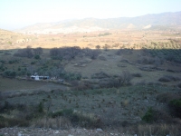 DSC08164