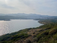 IMG_0494