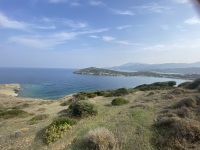 IMG_0502
