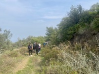 IMG_0516