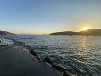 IMG_8296